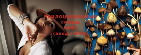 дурь Пересвет