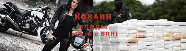 прущие грибы Яранск