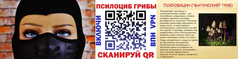 Галлюциногенные грибы Psilocybe  где найти   mega зеркало  Бежецк 
